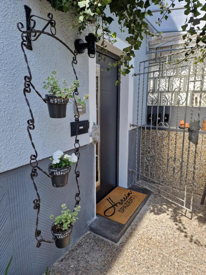 Steigrhein Apartment Filsen